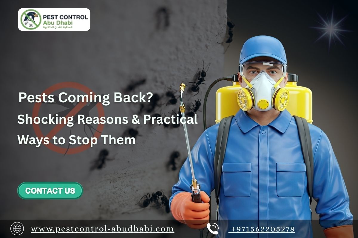 cockroach control abu dhabi